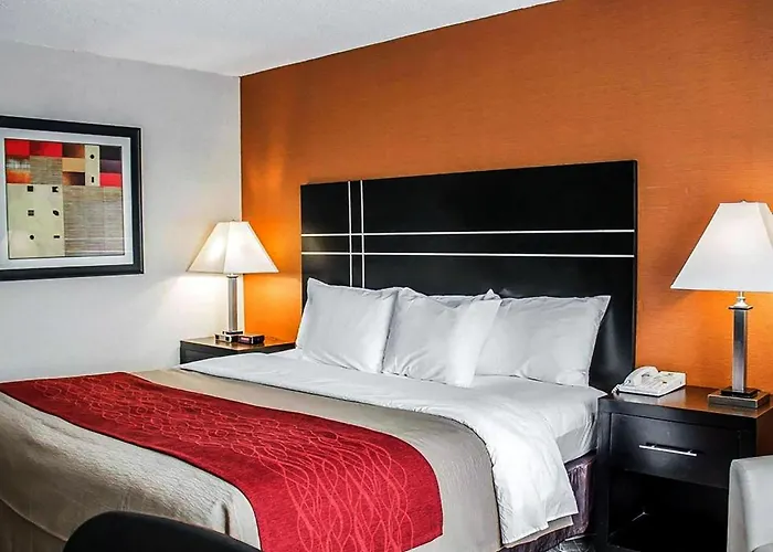 Hotel Howard Johnson By Wyndham Columbus