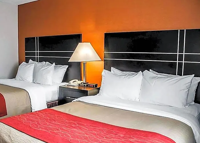 Hotel Howard Johnson By Wyndham Columbus